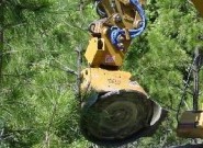 EXCAVATOR Attachment SlashBuster/Fecon